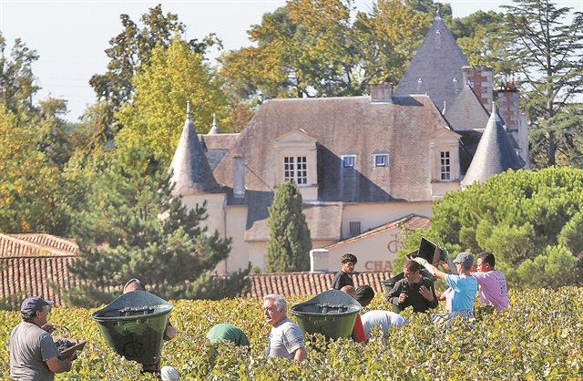 Τα σταφύλια της οργής για την κλιματική αλλαγή