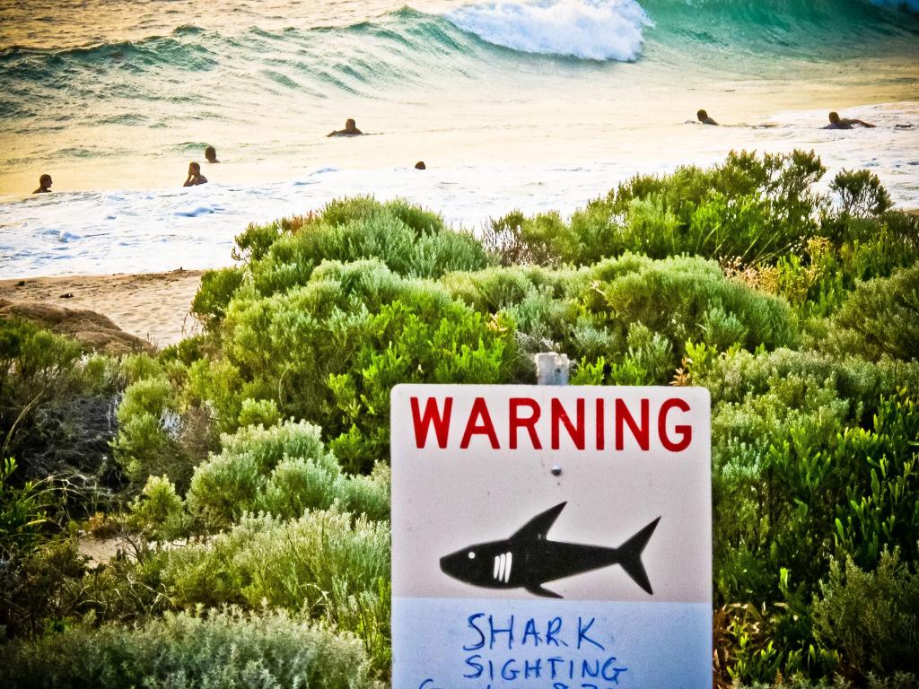 Καρχαρίας σκότωσε 35χρονο άνδρα στην Αυστραλία