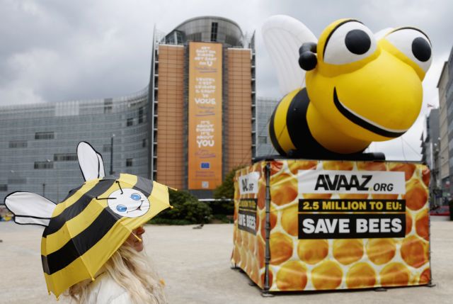 Συναγερμός στην Ευρώπη (αλλά όχι στην Ελλάδα) για το «έλλειμμα μελισσών»