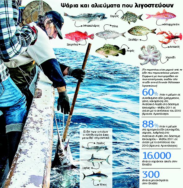 Μεγάλες φουρτούνες από τις μικρές ψαριές | tanea.gr