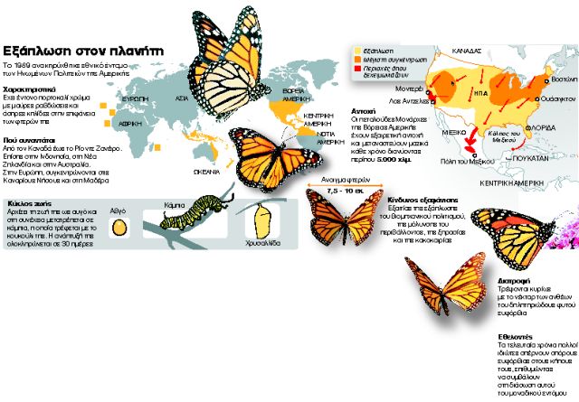Πρόεδρε Ομπάμα, σώστε την πεταλούδα Μονάρχη