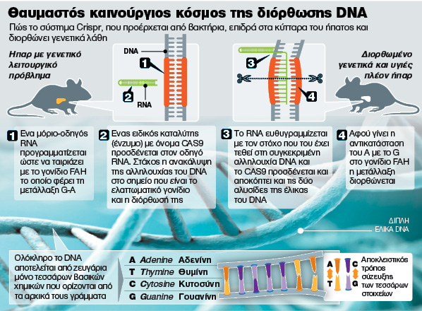 Θεραπεία με «γενετικό χειρουργείο»: Ασθένειες αντιμετωπίζονται με παρέμβαση στο DNA