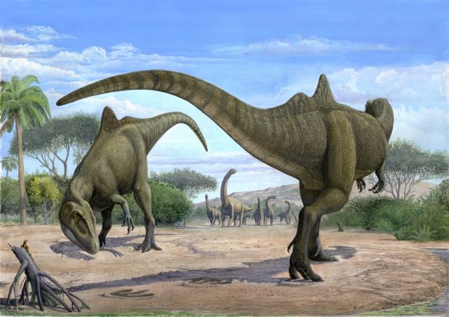 Παταγονία: Εντοπίστηκαν τα υπολείμματα του μεγαλύτερου δεινόσαυρου που έχει ανακαλυφθεί έως τώρα