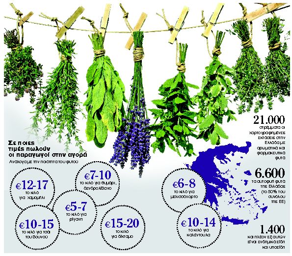 Είδαν μέλλον και κέρδη στα αρωματικά φυτά