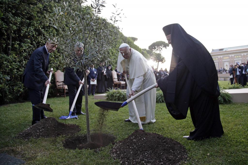 Μια ελιά για την ειρήνη στη Μέση Ανατολή: «Κηπουροί» ο Πατριάρχης Βαρθολομαίος και Πάπας