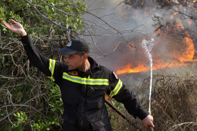 Πύρινα μέτωπα σε Κάρυστο και Μαλεσίνα – 46 φωτιές σε 24 ώρες!