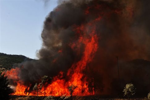Αναζωπυρώθηκε η πυρκαγιά στη Μαλεσίνα Φθιώτιδας