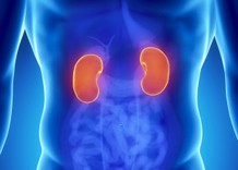 Μήπως έχετε πέτρα στα νεφρά;