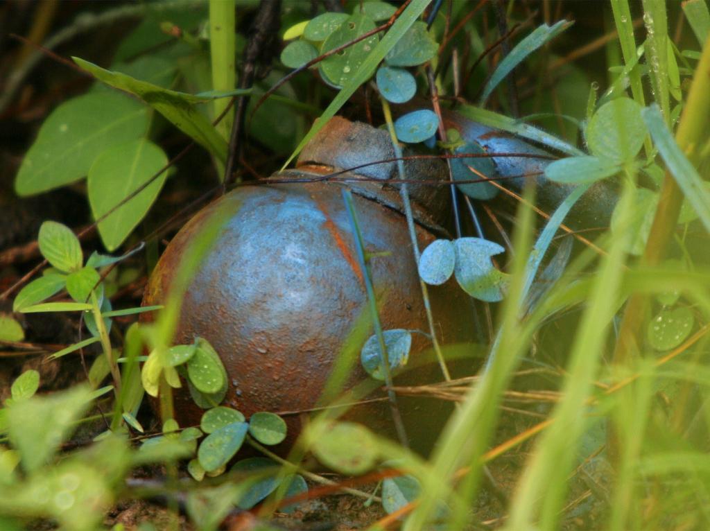 Εξουδετερώθηκε χειροβομβίδα που βρέθηκε σε χωράφι στις Σέρρες