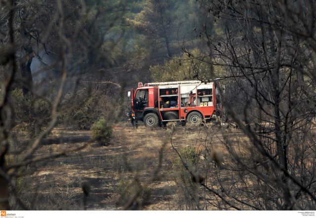 Συνελήφθη 35χρονος για τη φωτιά στο Αγιον Ορος το 2012