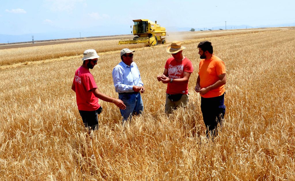 Μείωση του ορίου ηλικίας συνταξιοδότησης των αγροτών ζητούν βουλευτές της ΝΔ
