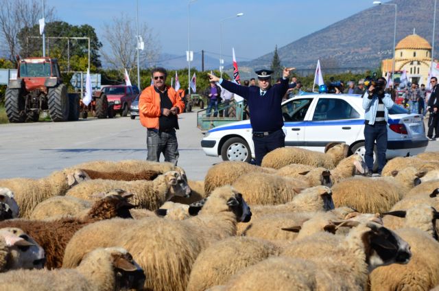 Συλλαλητήριο κτηνοτρόφων στην Κομοτηνή για την εξισωτική αποζημίωση