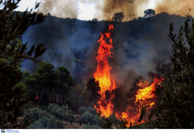 Σε ύφεση η μεγάλη πυρκαγιά στην Κίσσαμο Χανίων – στις φλόγες δύο αγροικίες