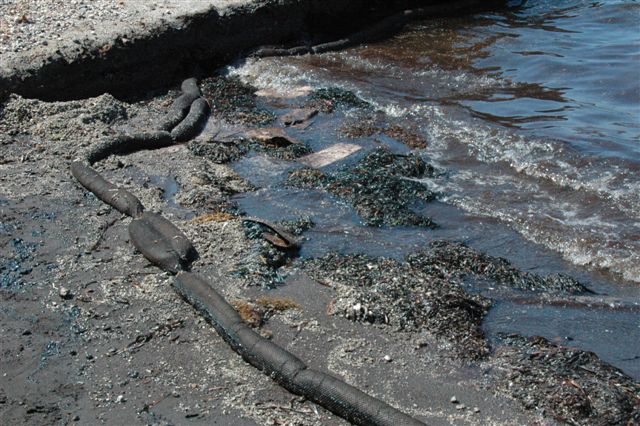 Εντοπίστηκαν δέκα τόνοι τοξικής πίσσας σε αμπελώνα της Αττικής