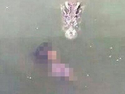 Γυναίκα αυτοκτόνησε πέφτοντας σε λίμνη με εκατοντάδες κροκόδειλους