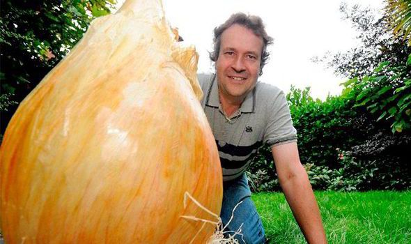 Στον κήπο βρετανού αγρότη το μεγαλύτερο κρεμμύδι του κόσμου