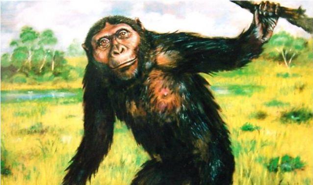 Ουρανοπίθηκος ο μακεδονικός: Το αρχαιότερο γνωστό ανθρωποειδές που έζησε στην Ελλάδα πριν 10 εκατ. χρόνια
