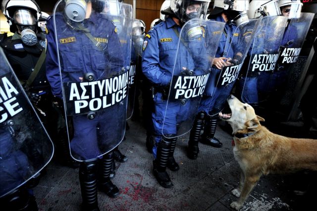 Πέθανε ο «Λουκάνικος», ο σκύλος-σύμβολο των διαδηλώσεων