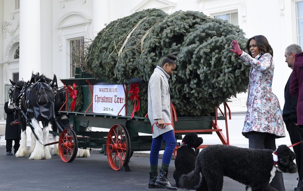 Μια άμαξα με δύο άλογα μετέφερε το χριστουγεννιάτικο δέντρο στον Λευκό Οίκο