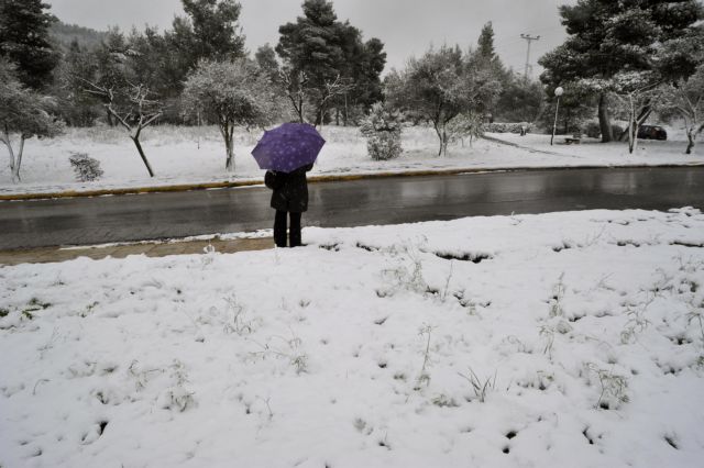 Χιονοθύελλα ακόμα και στα πεδινά της Πελοποννήσου