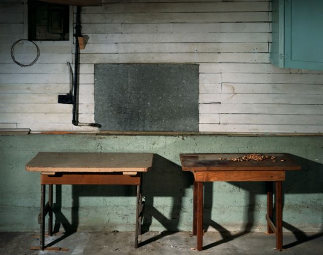 Φόρεσέ το όπως η Ντίντιον