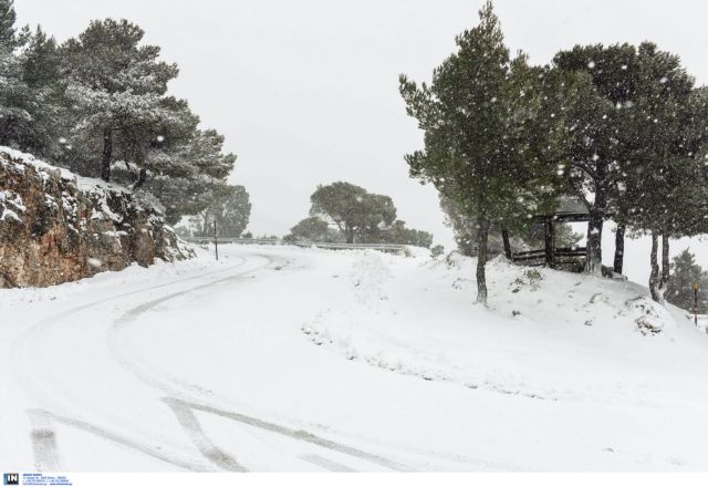 Χιόνια σε Χαλκιδική, Σέρρες και Κιλκίς – Πού χρειάζονται αντιολισθητικές αλυσίδες