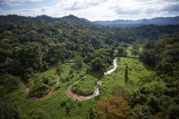 Δύο χαμένες πόλεις, ίσως και η θρυλική Λευκή Πόλη, ανακαλύφθηκαν στη ζούγκλα της Ονδούρας