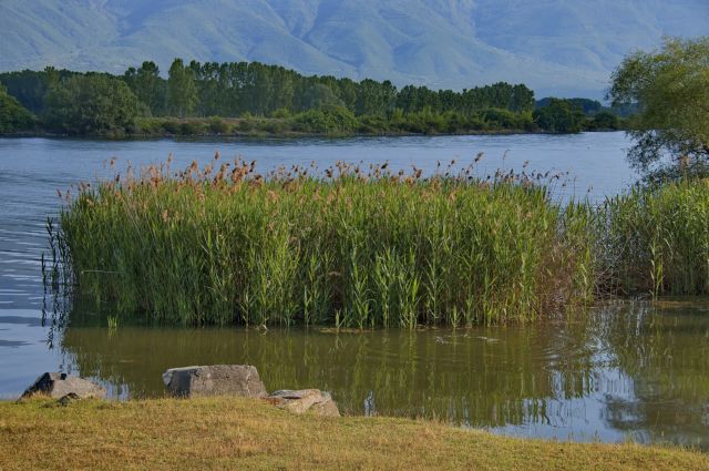Σέρρες: Μειώνεται η στάθμη του νερού στη λίμνη Κερκίνη