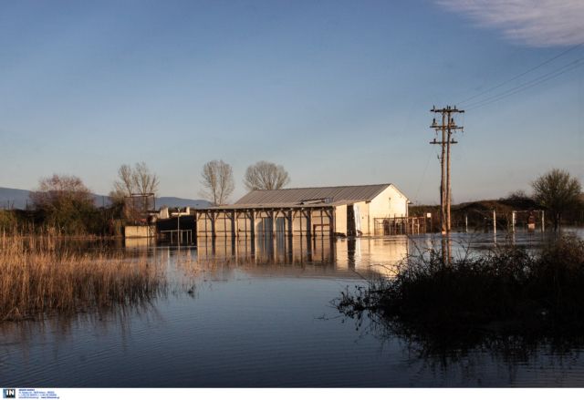 Σέρρες: Σε απελπισία αγρότες και έμποροι μετά τις καταστροφικές πλημμύρες