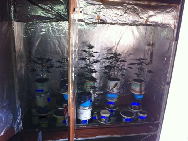 Λιβαδειά: Εργαστήριο υδροπονικής καλλιέργειας χασίς σε δωμάτιο διαμερίσματος