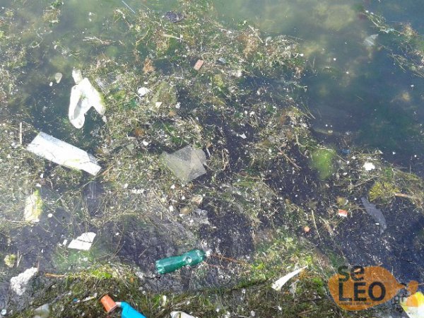 Θεσσαλονίκη: Εικόνα σκουπιδότοπου στον Θερμαϊκό