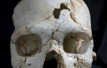 To αρχαιότερο έγκλημα: Εντοπίστηκε θύμα δολοφονίας που συνέβη πριν από 430.000 έτη!