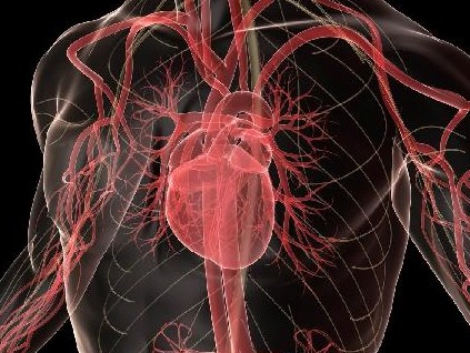Καρδιά: Γιατί δεν γίνεται προληπτικά η αγγειοπλαστική