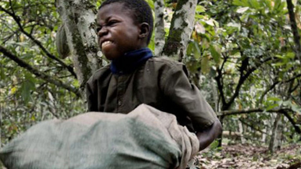 Ακτή Ελεφαντοστού: Απελευθέρωσαν 48 παιδιά-σκλάβους σε φυτείες κακάο