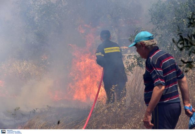 Δασικές πυρκαγιές στην Πετρούπολη και τον Ασπρόπυργο