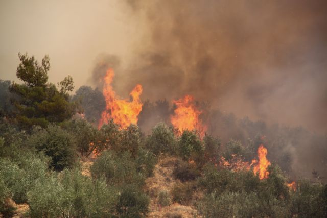 Πολύ υψηλός κίνδυνος πυρκαγιάς σε Αττική, Εύβοια, Αργολίδα, Κορινθία