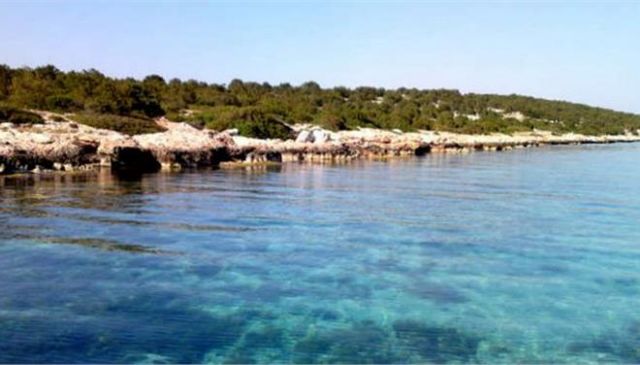 Ουόρεν Μπάφετ: Τα περί αγοράς ελληνικού νησιού είναι «αποκυήματα φαντασίας»