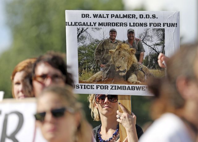 Ο Λευκός Οίκος εξετάζει το ενδεχόμενο να εκδώσει τον οδοντίατρο που σκότωσε το λιοντάρι