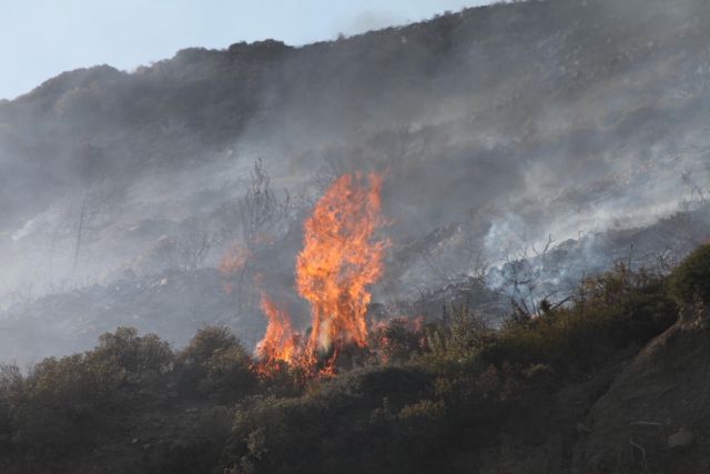 Φωτιά σε πευκόφυτη έκταση στη Μυτιλήνη