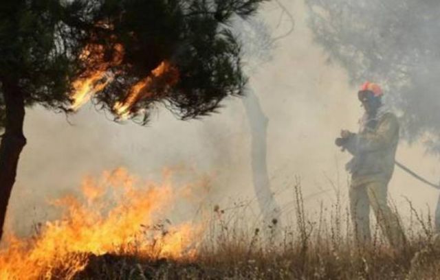 Βρετανός τουρίστας έβαζε φωτιές σε δασική περιοχή στις Αφίδνες «επειδή ήταν μεθυσμένος»