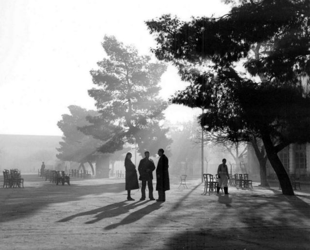 «Χώμα μου, γίνε στίχος»