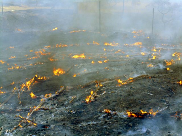 Μαίνεται για δεύτερη ημέρα η πυρκαγιά στη Μυτιλήνη – στάχτη 2.500 στρέμματα
