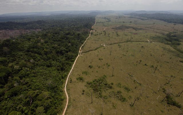 ΟΗΕ: Επιβραδύνθηκε ο ρυθμός μείωσης των δασικών εκτάσεων του πλανήτη