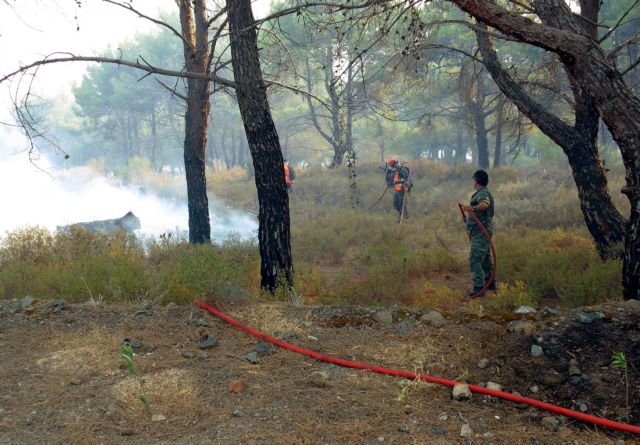 Κορινθία: Υπό μερικό έλεγχο η πυρκαγιά κοντά στο Ξυλόκαστρο