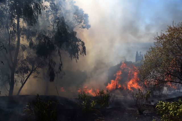 Καλαμάτα: Σε ύφεση η φωτιά στον Αετό Οιχαλίας, υπό μερικό έλεγχο στο Βασιλίτσι | tanea.gr