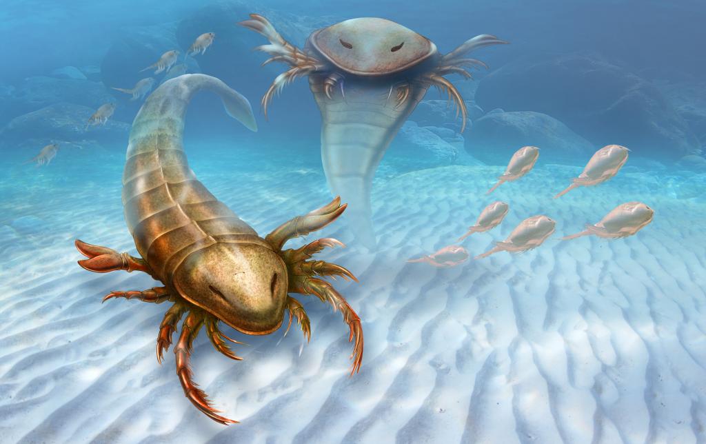 Ανακαλύφθηκε γιγάντιος θαλάσσιος σκορπιός μήκους 1,5 μέτρου με… αρχαιοελληνικό όνομα