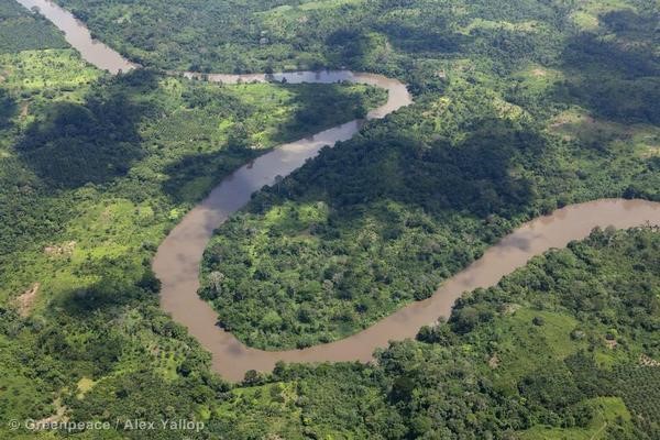 Πρωτοβουλία κρατών για την προστασία του Κεντρικού Δάσους της Αφρικής