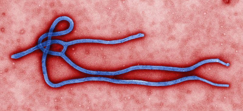 Είναι η λοίμωξη από Έμπολα ένα σεξουαλικώς μεταδιδόμενο νόσημα;