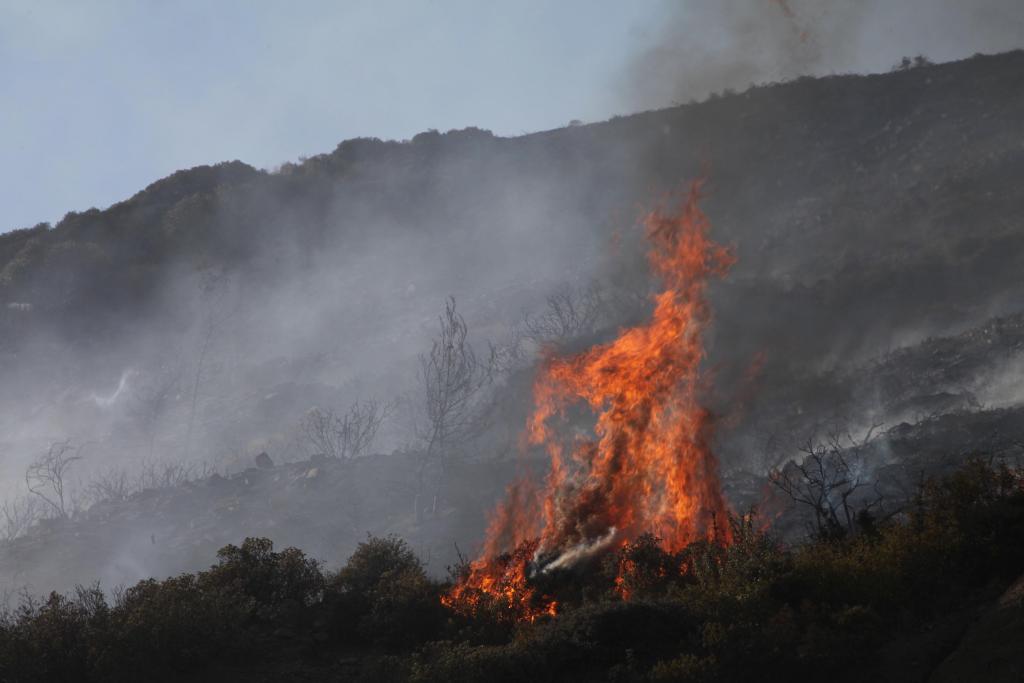 Ελληνοισραηλινή συνεργασία στα drones για την αντιμετώπιση των δασικών πυρκαγιών
