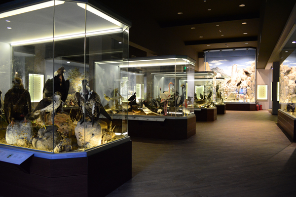 250 είδη μανιταριών και 350 είδη πτηνών και θηλαστικών σε Μουσείο